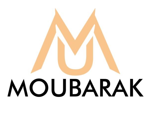 Ventilateur sur pied Moubarak 16 pouces (40 cm) — puissant, élégant et pratique, avec télécommande pour un confort optimal. Chez Ets Saley et Fils – Image 3